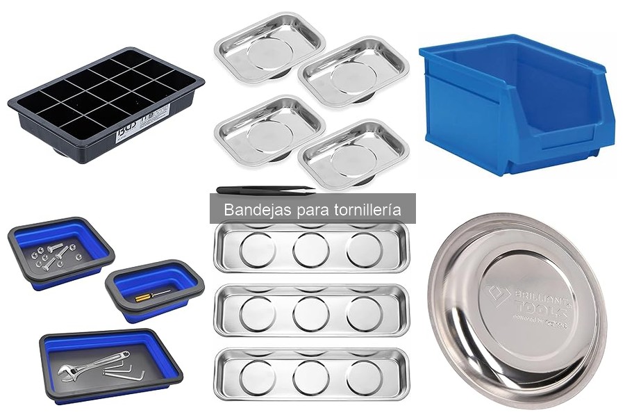 Tipos de bandejas para tornillería: ventajas y desventajas